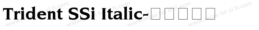 Trident SSi Italic字体转换